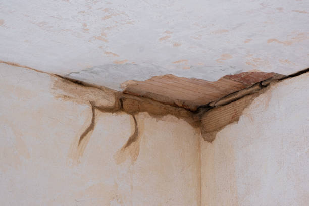 Best Mold removal after water damage  in Mariposa, CA