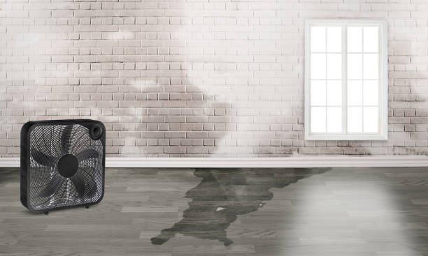 Best Flood damage cleanup  in Mariposa, CA