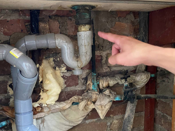 Water damage restoration mold remediation in Mariposa, CA